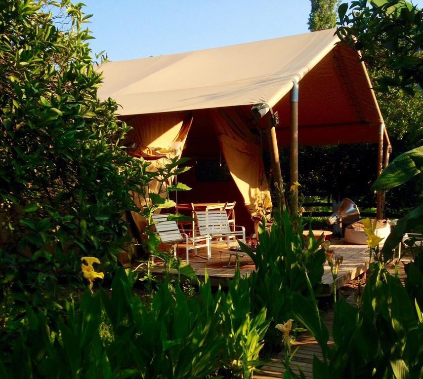 Campo Portakal Eco Glamping Ξενοδοχείο Çıralı Δωμάτιο φωτογραφία