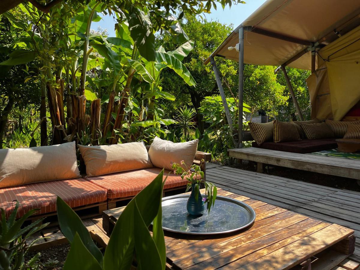 Campo Portakal Eco Glamping Ξενοδοχείο Çıralı Εξωτερικό φωτογραφία