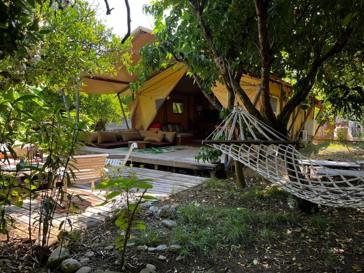 Campo Portakal Eco Glamping Ξενοδοχείο Çıralı Εξωτερικό φωτογραφία