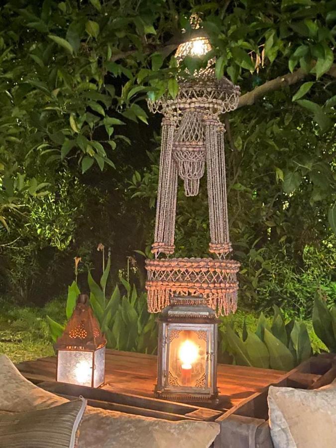 Campo Portakal Eco Glamping Ξενοδοχείο Çıralı Εξωτερικό φωτογραφία