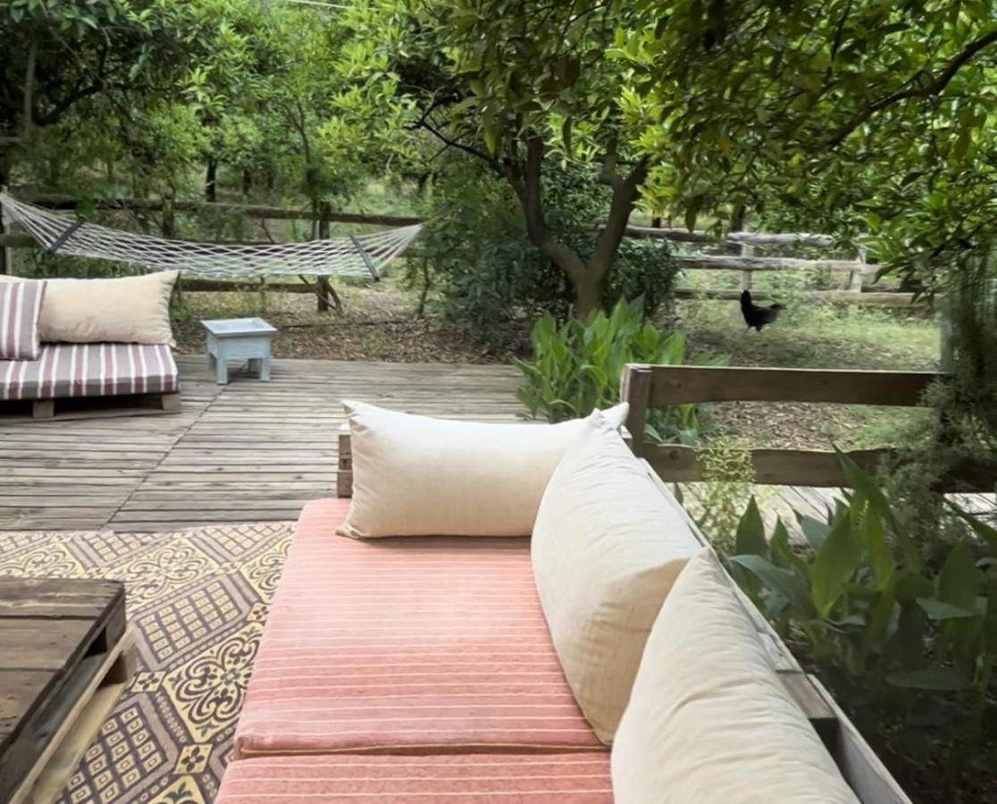 Campo Portakal Eco Glamping Ξενοδοχείο Çıralı Εξωτερικό φωτογραφία