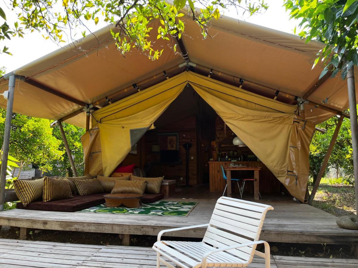 Campo Portakal Eco Glamping Ξενοδοχείο Çıralı Εξωτερικό φωτογραφία