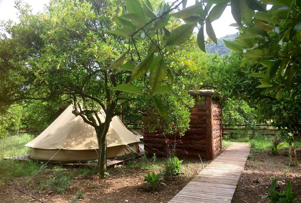 Campo Portakal Eco Glamping Ξενοδοχείο Çıralı Εξωτερικό φωτογραφία