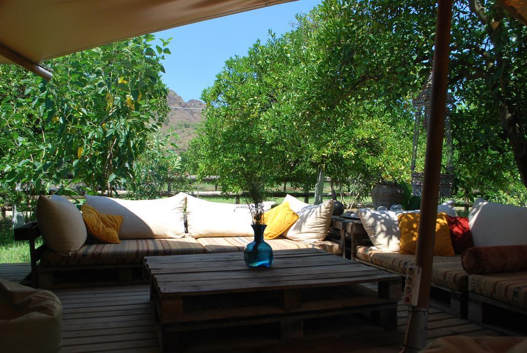 Campo Portakal Eco Glamping Ξενοδοχείο Çıralı Εξωτερικό φωτογραφία