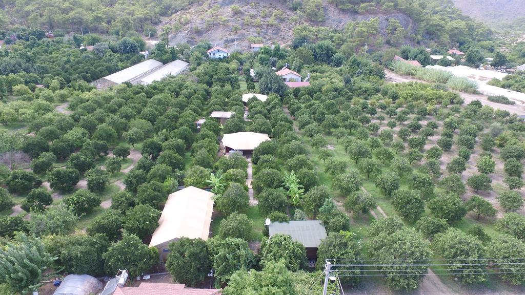 Campo Portakal Eco Glamping Ξενοδοχείο Çıralı Εξωτερικό φωτογραφία