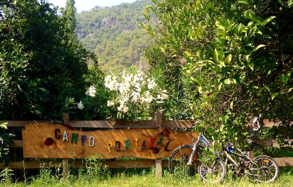 Campo Portakal Eco Glamping Ξενοδοχείο Çıralı Εξωτερικό φωτογραφία